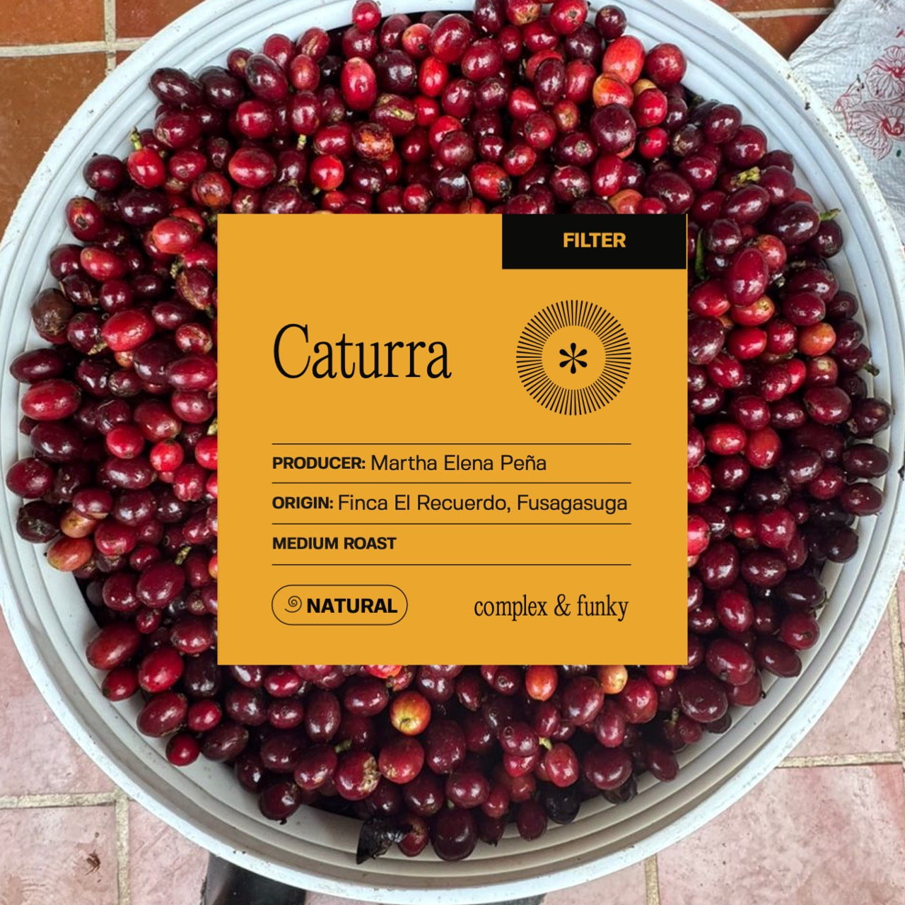 El Recuerdo - Caturra - Natural (Filter)