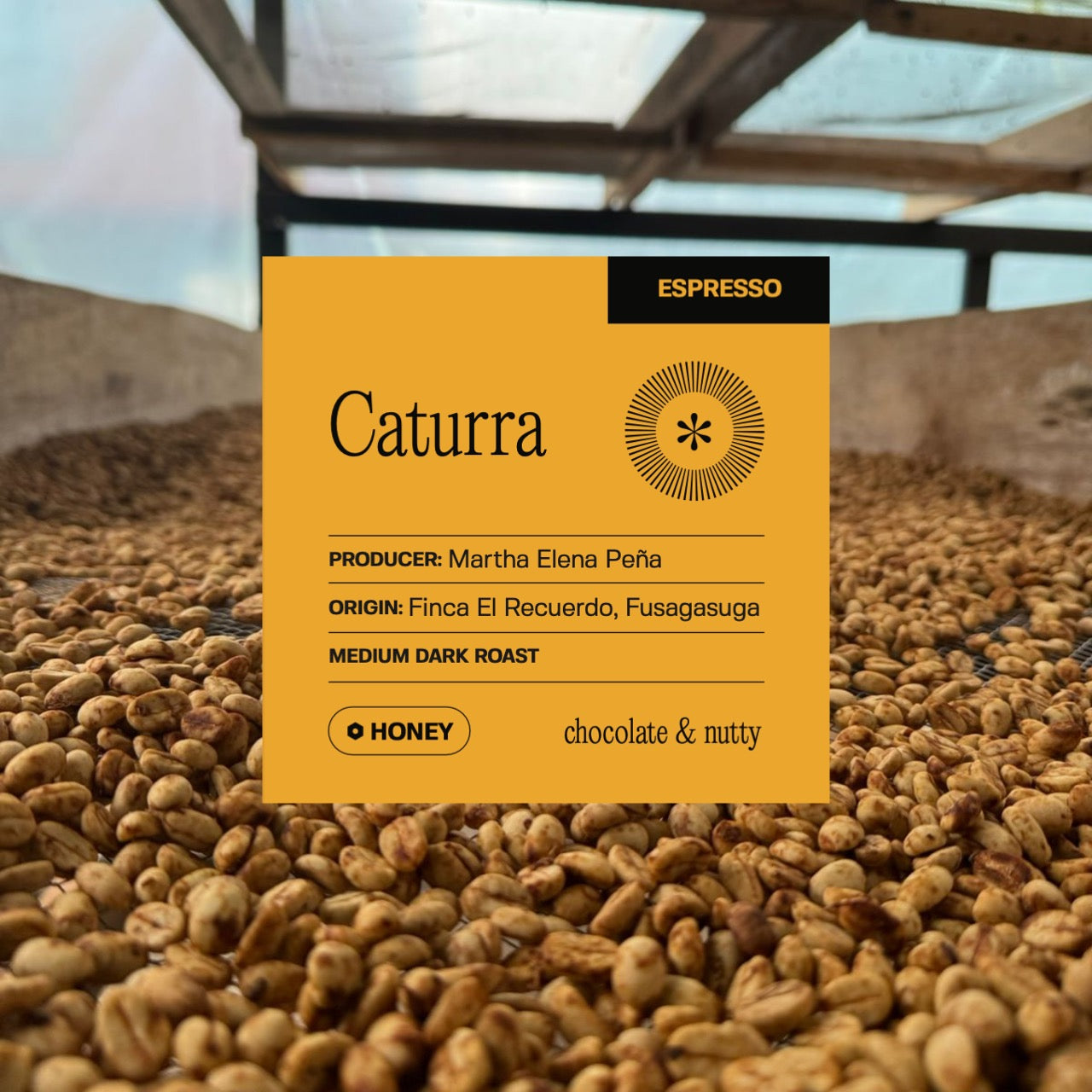 El Recuerdo - Caturra - Honey (Espresso)