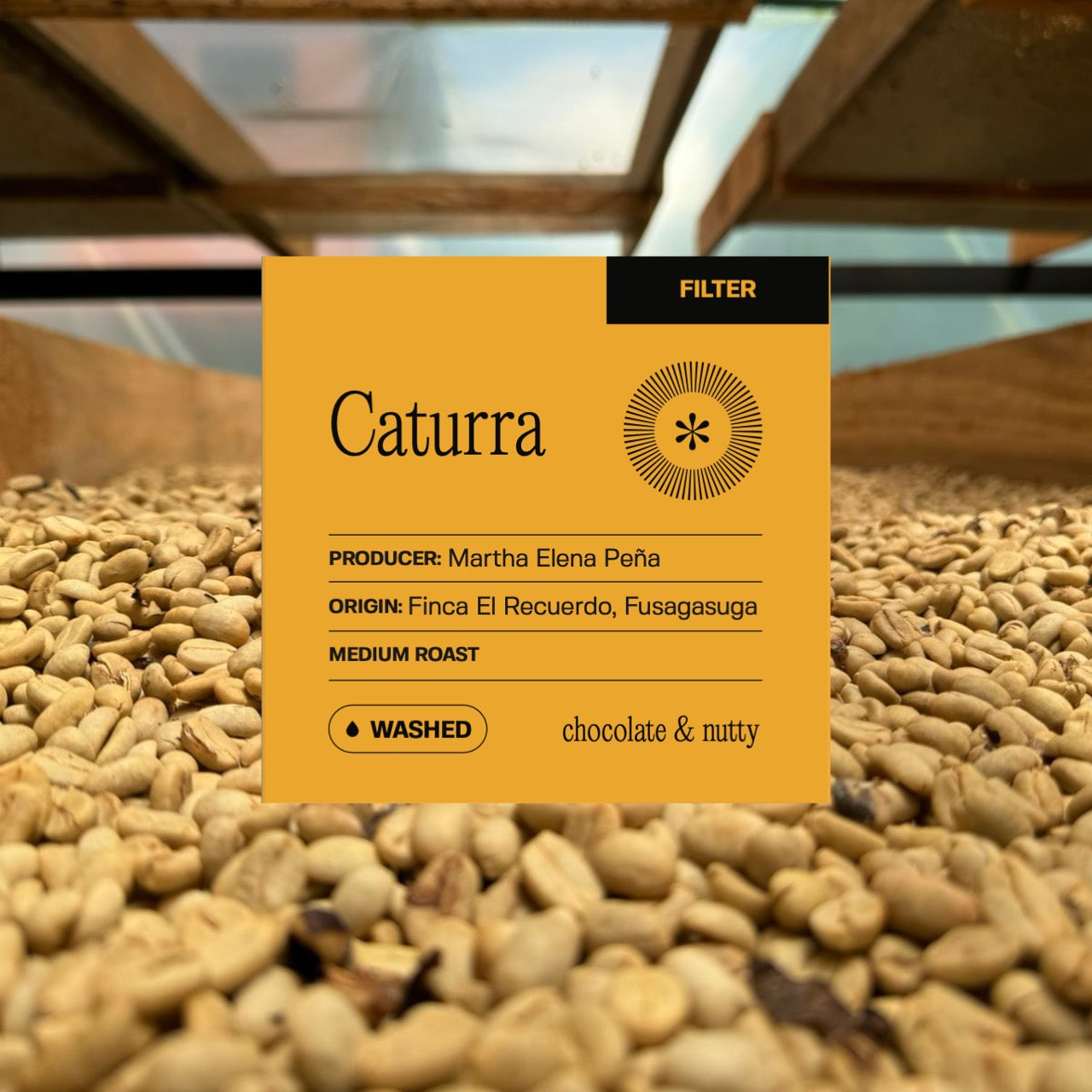El Recuerdo - Caturra - Washed (Filter)