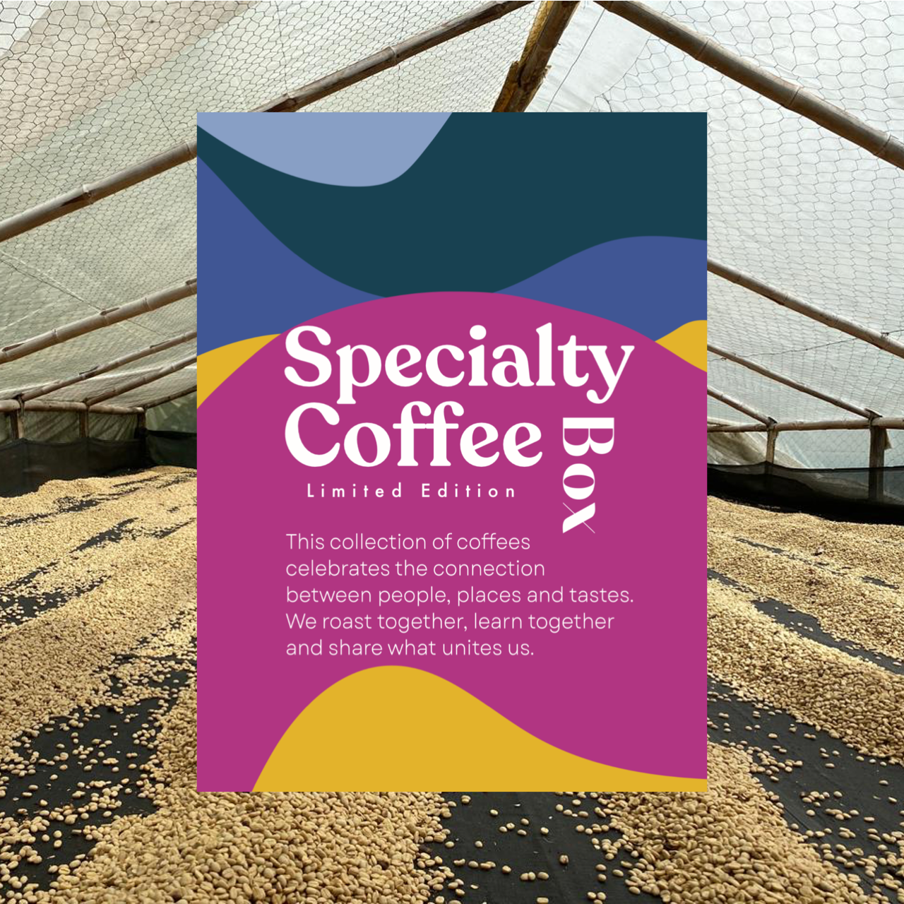 Specialty Coffee Adventskalender