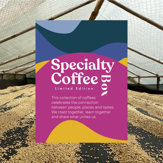 Specialty Coffee Adventskalender