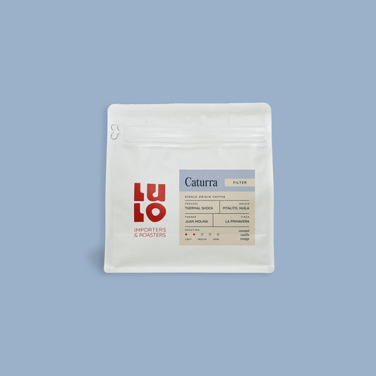 El Recuerdo - Caturra - Honey (Filterkaffee)