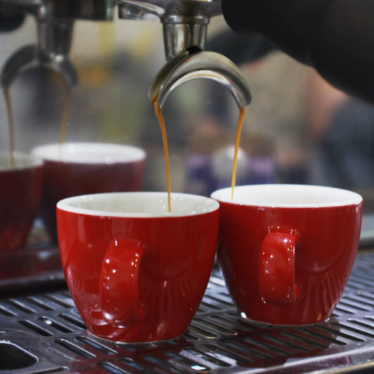 Latte Art Course (Intermediate)
