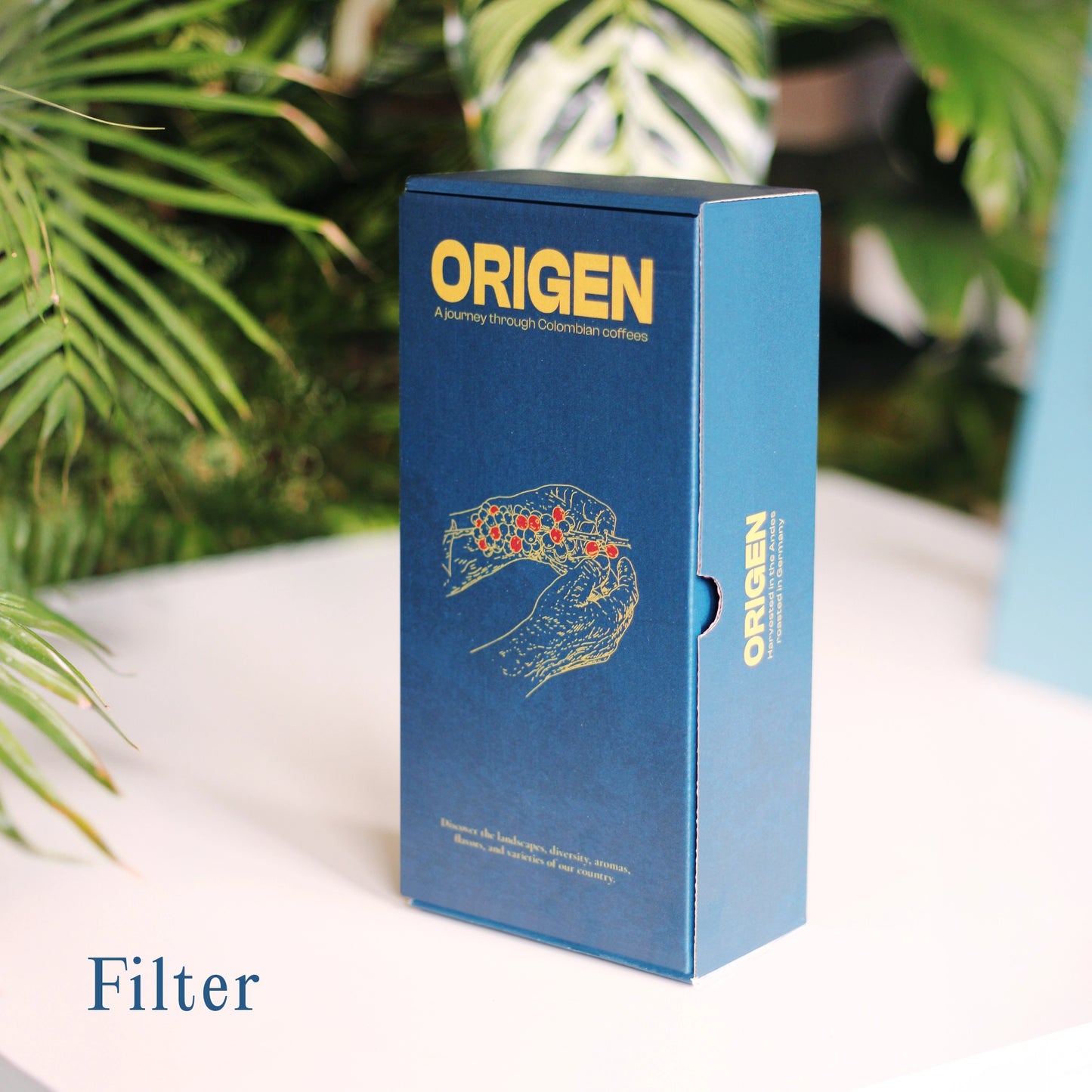 Origen Coffee Box