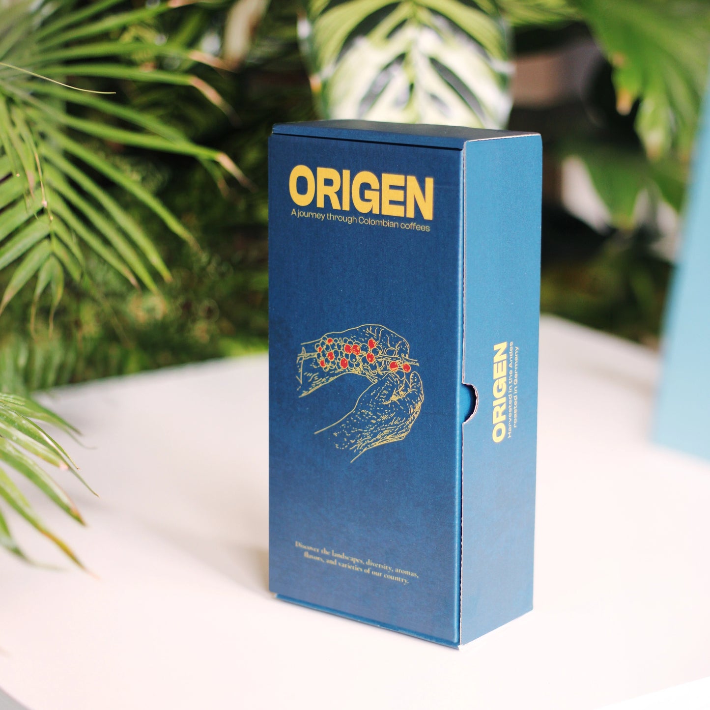Origen Coffee Box (Espresso)