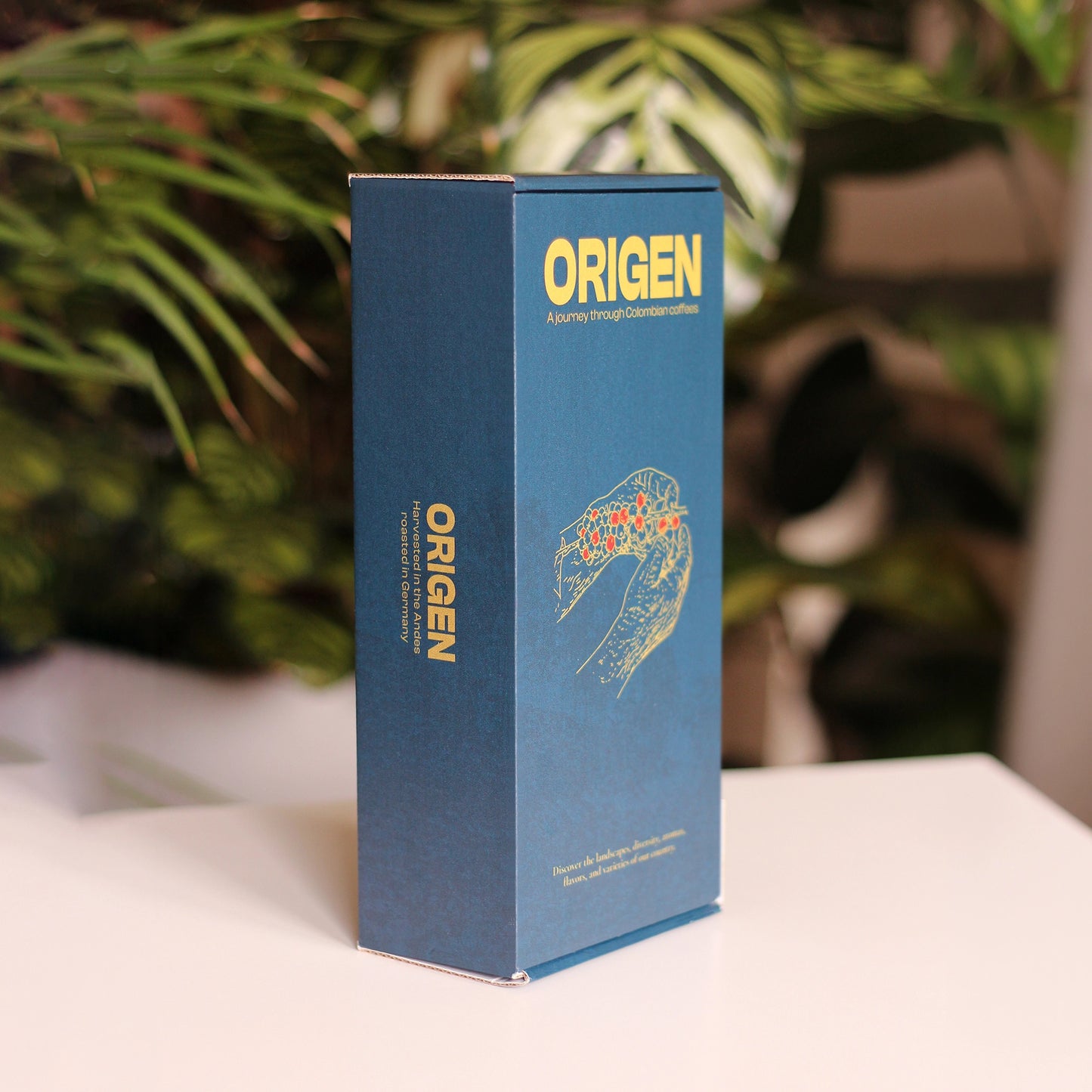 Origen Coffee Box
