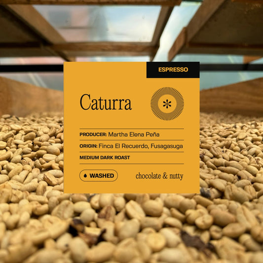 El Recuerdo - Caturra - Washed (Espresso)