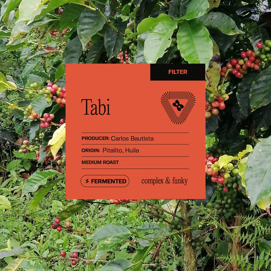 Pitalito - Tabi - Anaerobic (Filter)